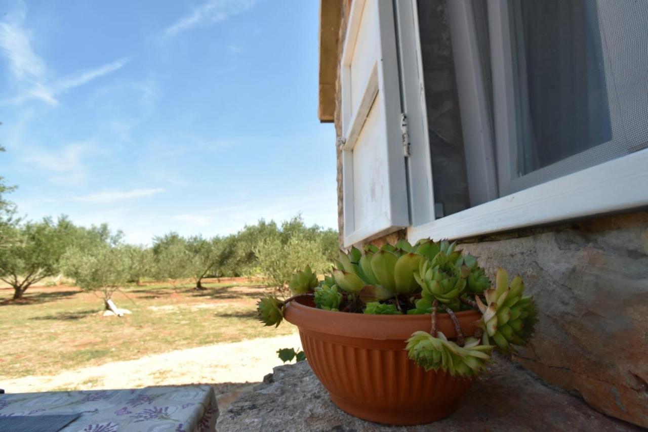 Cottage Rugonj Stari Grad  Exterior photo